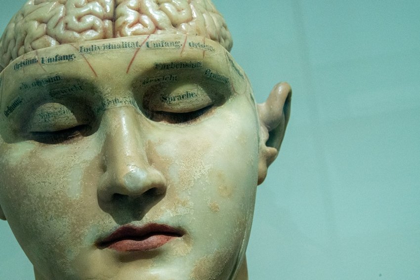 When You Skip Sleep Your Brain Starts Destroying Its Own Cells
