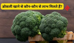 Why Broccoli Is So Essential for Your Body