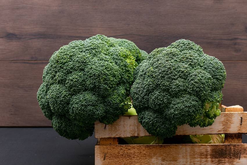 broccoli nutrition facts