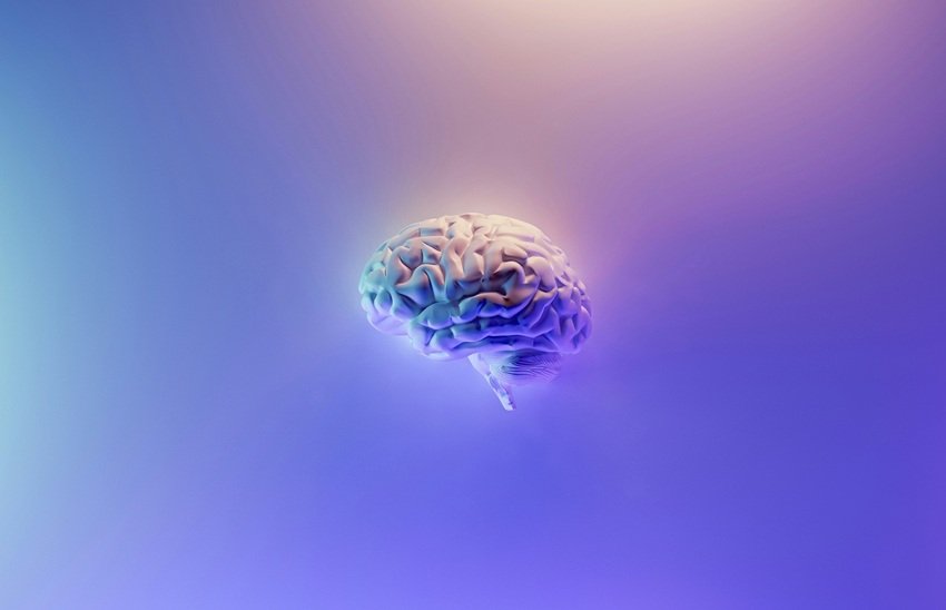 Your Brain Literally Eats Itself When You Do not Sleep