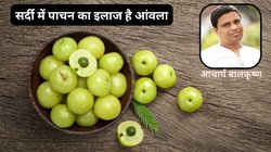 क्यों सर्दियों का सुपरफूड कहा जाता है आंवला, इन 5 ज़बरदस्त कारणों से समझ जाएंगे इसकी ताकत, विंटर में Gooseberry रोज़ खाने के अनगिनत फायदे