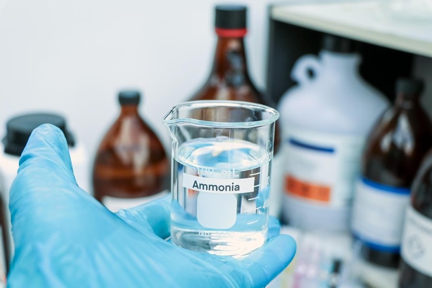 ammonia