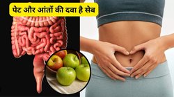 हेल्दी गट की कुंजी है सेब, रोज इन 4 तरह से करें सेवन, पेट से लेकर आंत की सूजन होगी कंट्रोल