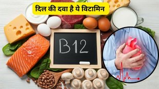 heart attack risk, vitamin b12 deficiency, micronutrients, vitamin b12 deficiancy,Vitamin B12 Deficiency Symptoms, Vitamin B12 Deficiency Causes and Treatment