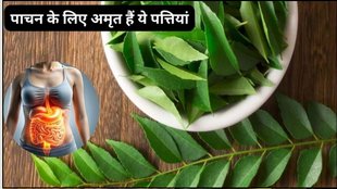 How to eat moringa leaves, remedies to detoxify dirt in liver, remedies to burn liver fat, how to eat moringa leaves for weight loss, how to eat moringa leaves