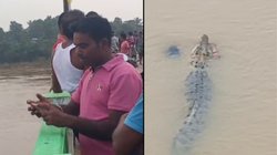 मगरमच्छ ने 57 साल की महिला का किया शिकार, देखते ही देखते नदी में खींच ले गया और…, Viral Video देख कांप जाएगा कलेजा