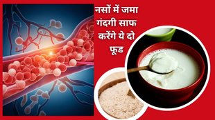 Curd with Isabgol benefits, Isabgol and yogurt for constipation, Psyllium husk with curd for cholesterol, Curd and Isabgol for weight loss,