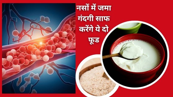 Curd with Isabgol benefits, Isabgol and yogurt for constipation, Psyllium husk with curd for cholesterol, Curd and Isabgol for weight loss,