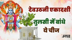 देवउठनी एकादशी को तुलसी पर बांध दें एक चीज, श्री हरि के साथ मां लक्ष्मी होंगी प्रसन्न, दरिद्रता से मिलेगा छुटकारा