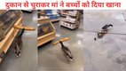 Duck, Duck Viral Video, video viral