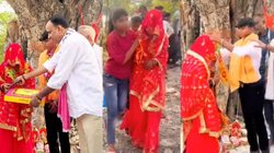 चोरी छिपे जंगल में मिल रहा था प्रेमी जोड़ा, गांव वालों ने पकड़ लिया, फिर जो हुआ पल भर में बदल गया सब, किस्मत पर रो रहे दोनों… Video Viral