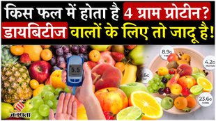 घर ले आएं ये फल, मिलेगा भरपूर प्रोटीन, शुगर से मिलेगा छुटकारा