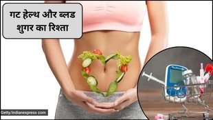 gut bacteria, blood sugar levels, insulin sensitivity, type 2 diabetes, gut health, Poor gut health increases Type 2 diabetes risk