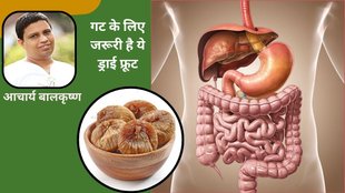amazing benefits of figs for improve digestion, nutrition,health benefits,gut health,figs,benefits of figs,benefits of anjeer,anjeer for gut health,