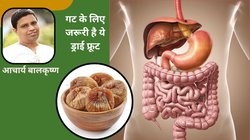 आंतों की सेहत में सुधार करती है अंजीर, खराब पाचन हो जाता है दुरुस्त, जानिए बॉडी को होने वाले 4 फायदे