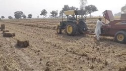 हरियाणा: पराली जलाने पर किसानों के खिलाफ एफआईआर दर्ज, जानें नियमों का उल्लंघन करने पर लगता है कितना मुआवजा
