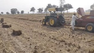 haryana | stubble burning | palwal |