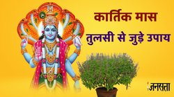 कार्तिक मास में करें तुलसी से जुड़े ये खास उपाय, मां लक्ष्मी के साथ श्री हरि होंगे प्रसन्न, धन-संपदा की होगी प्राप्ति