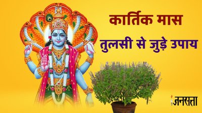 कार्तिक मास में करें तुलसी से जुड़े ये खास उपाय, मां लक्ष्मी के साथ श्री हरि होंगे प्रसन्न
