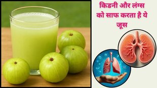 amla water, immunity, digestion, hair health, skin glow, weight loss, detoxification,Amla Juice benefits,