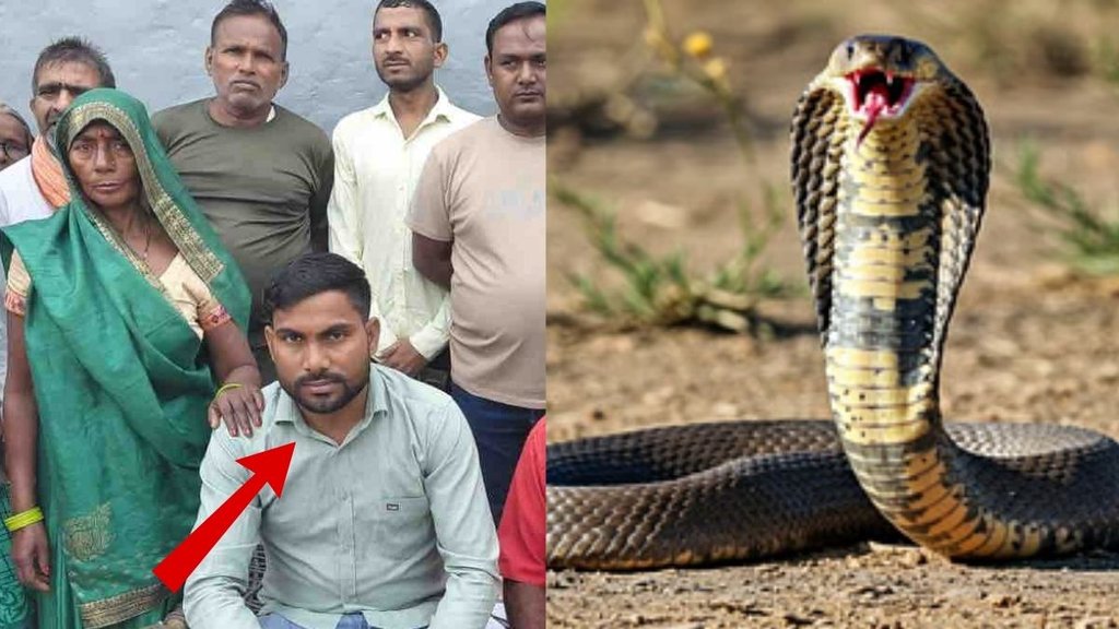 Bulandshahr News, Snake bite, Bulandshahr police Bulandshahr News, Snake bite, Bulandshahr police