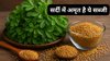 सर्दी में सिर्फ हफ्ते में 3 दिन मेथी का साग खाएं तो बॉडी को कौन-कौन से फायदे होते हैं, जानिए
