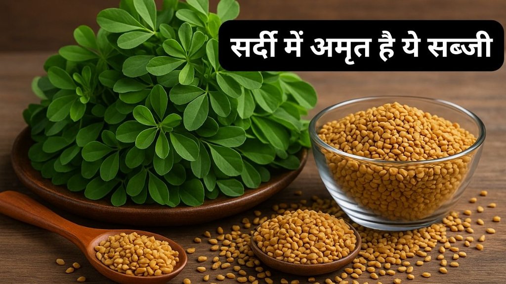Fennel leaves benefits, Benefits of methi leaves in winter, Methi saag health benefits, Fenugreek leaves for digestion, Methi for diabetes control,