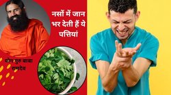ये खास पत्ता करेगा Vitamin B12 की कमी पूरा, नसों में भर जाएगी ताकत, बाबा रामदेव ने बताया इसे हाथ-पैरों की झुनझुनी और कमजोरी का इलाज