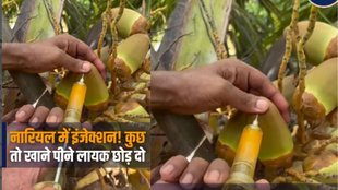 coconut, coconut water, naruyal pani