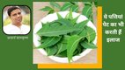 neem for liver health, neem benefits,neem leaves health benefits,नीम के पत्तों के फायदे,neem leaves for constipation, chronic constipation home remedies, best home remedies for constipation