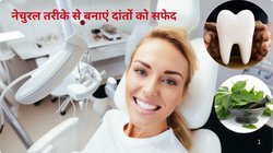 पीले दांतों से परेशान हैं तो केमिकल बेस्ड टूथपेस्ट नहीं बल्कि ये 5 देसी हर्ब्स अपनाएं, दांत बनेंगे मोती जैसे सफेद