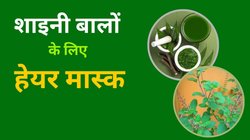 नीम और तुलसी से बनाएं बालों के लिए हेयर मास्क, बाल होंगे स्ट्रॉन्ग और शाइनी