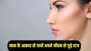 nose Shape Personality, Samudrik Shastra For Nose