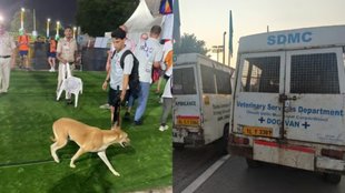 Delhi Street Dogs Attacked Coaches in World Para Athletics Championship JLN Stadium