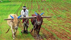 पीएम किसान योजना से जुड़े इन लाभार्थियों के खातों को किया जाएगा रिव्यू, केंद्र सरकार ने संंदिग्ध के रूप में की पहचान