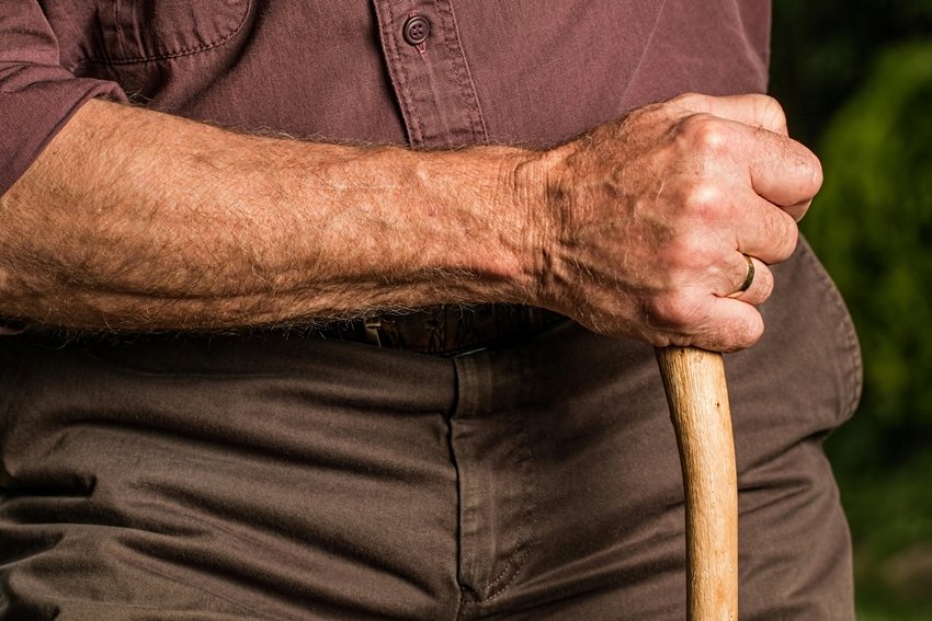 processed foods and aging