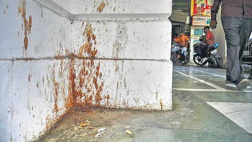 public responsibility in India