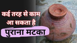 गर्मियों खत्म होने पर पुराने मटके को फेंकने की बजाए इन तरीकों से करें रियूज