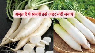 Radish benefits,Foods not to eat with radish, Radish and milk combination, Radish and yogurt combination, Ayurvedic food rules