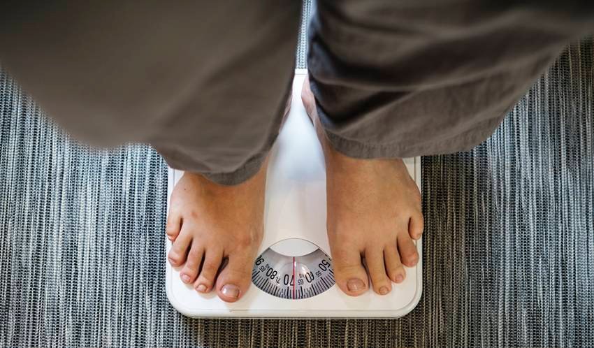 weight loss with roasted guava