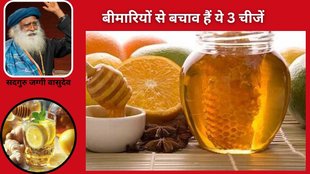 home remedy, immunity, amla, honey, pepper, vitamin C, antioxidants, inflammation, infection, skin, hair., sadhguru immunity remedy,