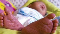 Blog: बिगड़ता अनुपात और बेटियों का जीवन, तमाम प्रयासों के बाद भी भ्रूण हत्या और नवजातों की मौत पर नहीं लग पा रही है रोक