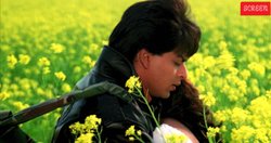 30 साल पहले दिवाली पर आई शाहरुख खान की ये फिल्म, 4 करोड़ में बनी और कर गई 100 करोड़ पार