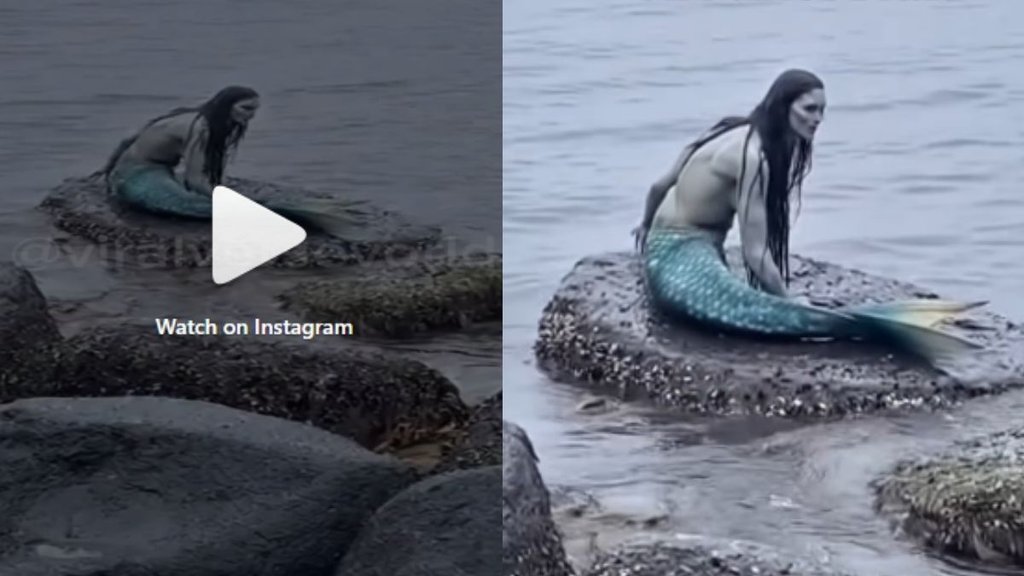 Viral video, real mermaid video, hunters trapped mermaid