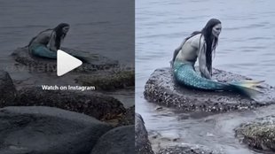 Viral video, real mermaid video, hunters trapped mermaid