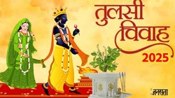 Tulsi Vivah 2025: 2 या 3 नवंबर, कब होगा तुलसी विवाह? नोट कर लें सही तिथि, शुभ मुहूर्त और धार्मिक महत्व