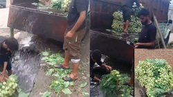 जान ही ले लोगे क्या? महिलाएं बाजार से सब्जी खरीदते समय बरतें सावधानी, Viral Video देख पैरों तले खिसक जाएगी जमीन