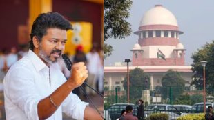 vijay tvk , supreme court, HIGH COURT