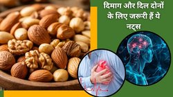 सुबह खाली पेट भीगा बादाम खाएं या भीगा अखरोट, कौन देगा दिमाग और दिल को ज़्यादा ताकत? जानिए