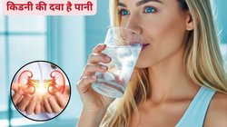 किडनी को हेल्दी रखने के लिए 10 गिलास पानी पिएं या 14 गिलास, कितना पानी पीने से बॉडी होती है टॉक्सिन फ्री, जानिए